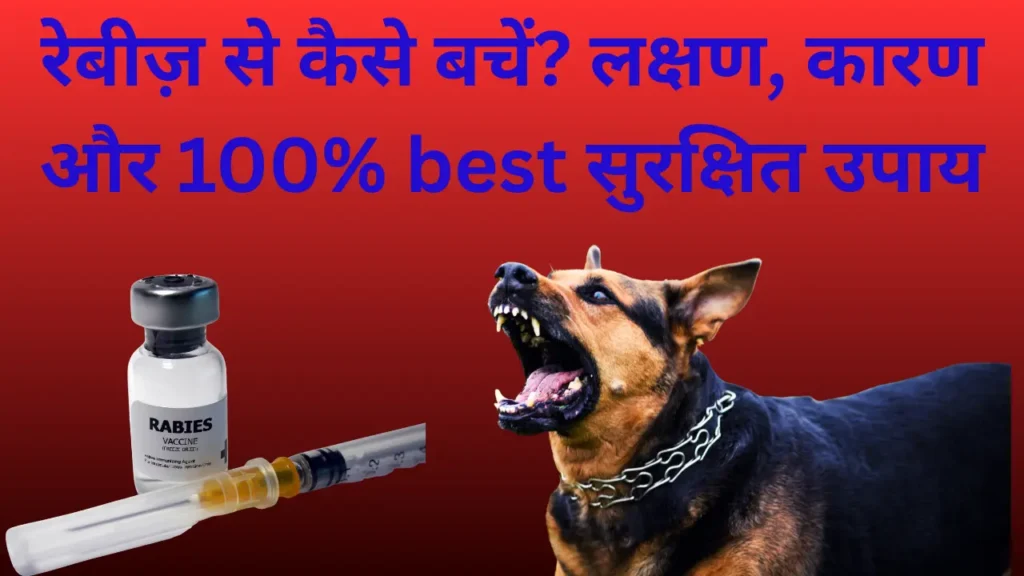 Rabies (रेबीज़) से बचाव के लिए टीका, गुस्सैल कुत्ता और हिंदी में लिखी जानकारी