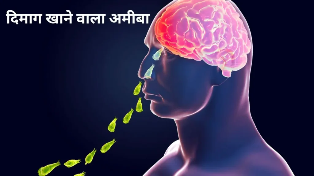 नाक से दिमाग तक पहुँचता खतरनाक दिमाग खाने वाला अमीबा