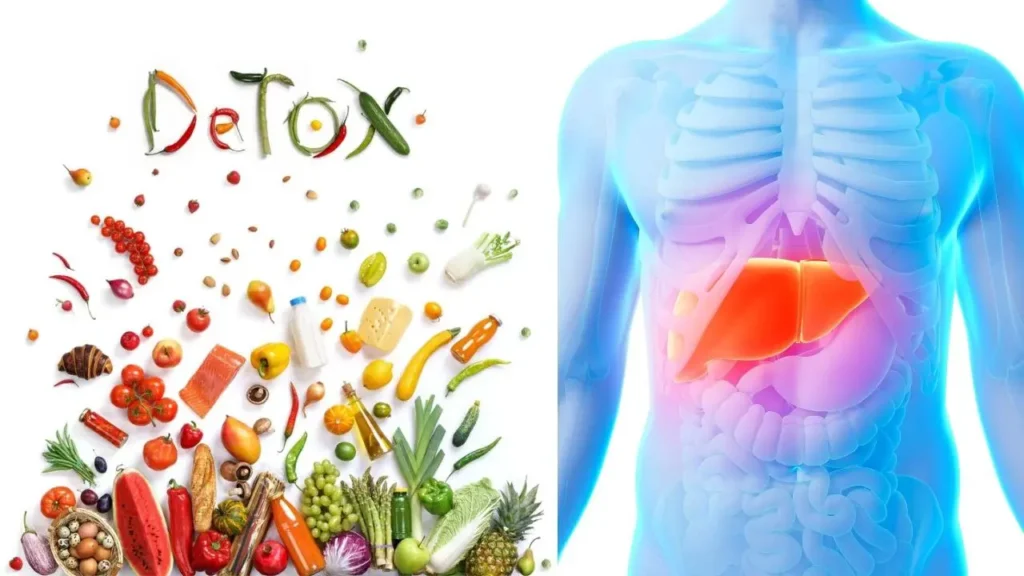 लिवर डिटॉक्स के लिए फल-सब्ज़ियाँ और दूसरी ओर मानव शरीर का एक्स-रे जैसे चित्र में हाइलाइटेड लिवर।