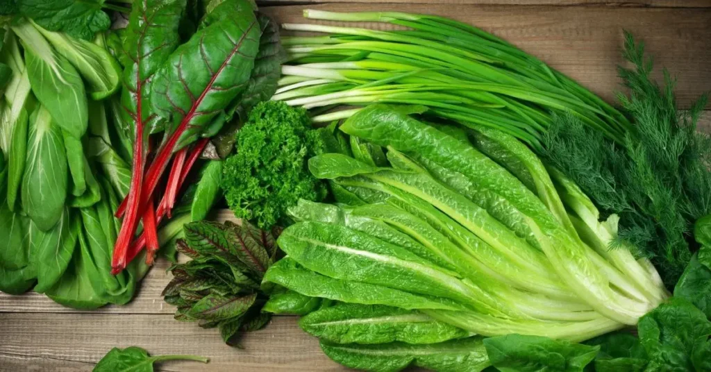 सर्दियों में इम्यूनिटी बढ़ाने वाली हरी पत्तेदार सब्ज़ियाँ जैसे पालक, धनिया, मेथी और हरा प्याज़ रखी हुई हैं।