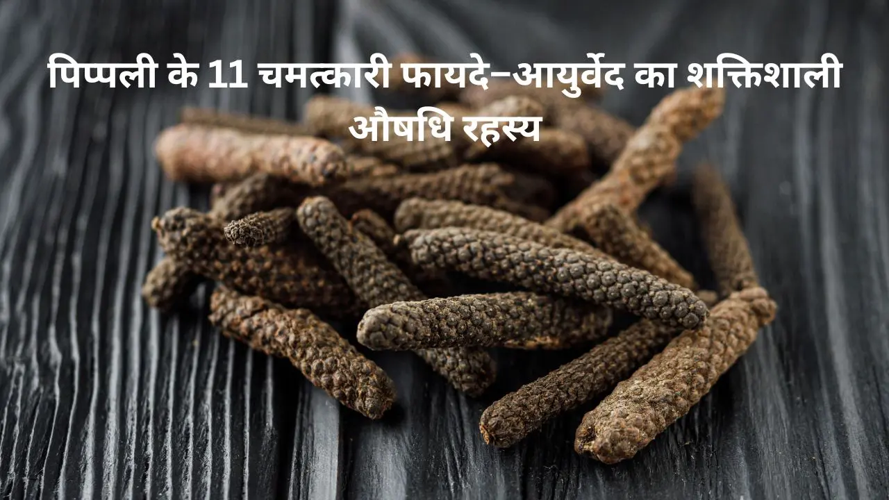 पिप्पली के 11 चमत्कारी फायदे -आयुर्वेद का शक्तिशाली औषधि रहस्य