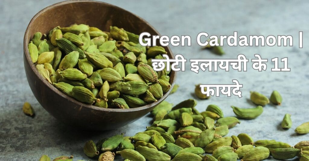 Green Cardamom छोटी इलायची के 11 स्वास्थ्य लाभ, पाचन, वजन घटाने और इम्यूनिटी के लिए फायदेमंद