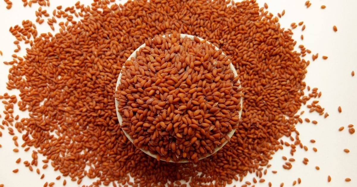 Halim Seeds के 10 फायदे: आयरन, वजन और महिलाओं की सेहत के लिए क्यों हैं फायदेमंद?